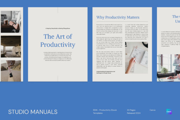 a1 REIN - Productivity Ebook Template