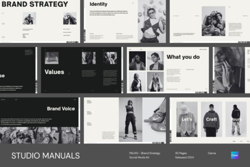 a1 PALVIO - Brand Strategy Social Media Kit