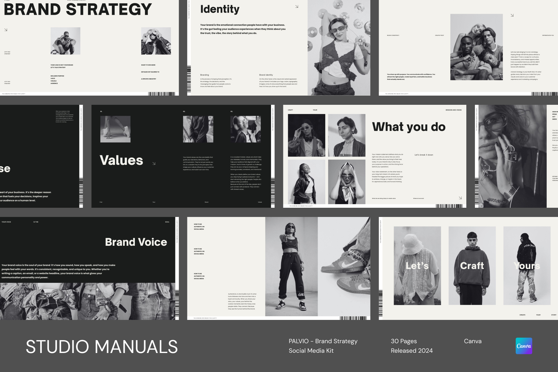 a1 PALVIO - Brand Strategy Social Media Kit
