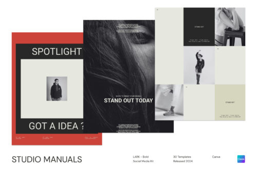 a1 LARK - Bold Social Media Kit